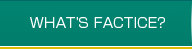WHAT'S FACTICE?