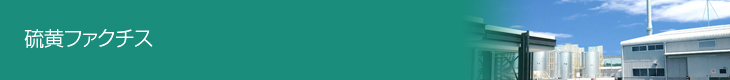 硫黄ファクチス